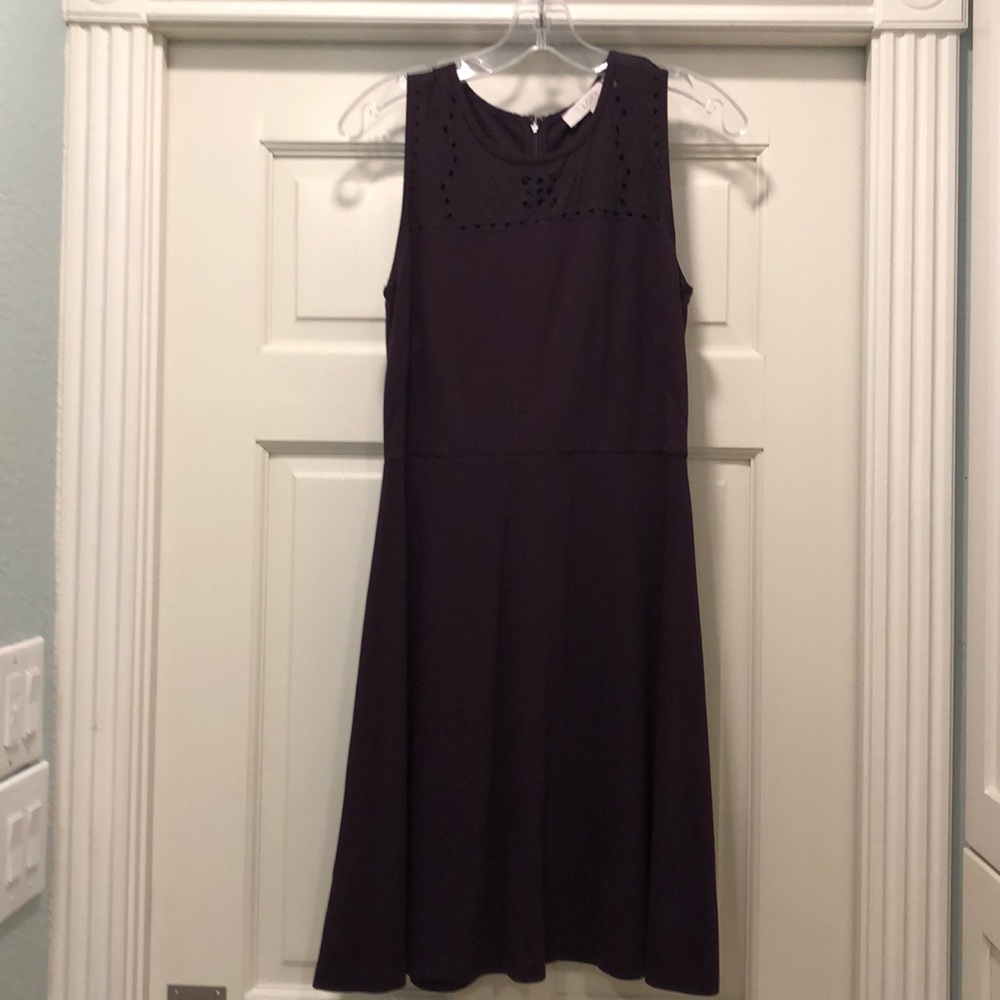 Like new plum a-line dress w/ embroidery